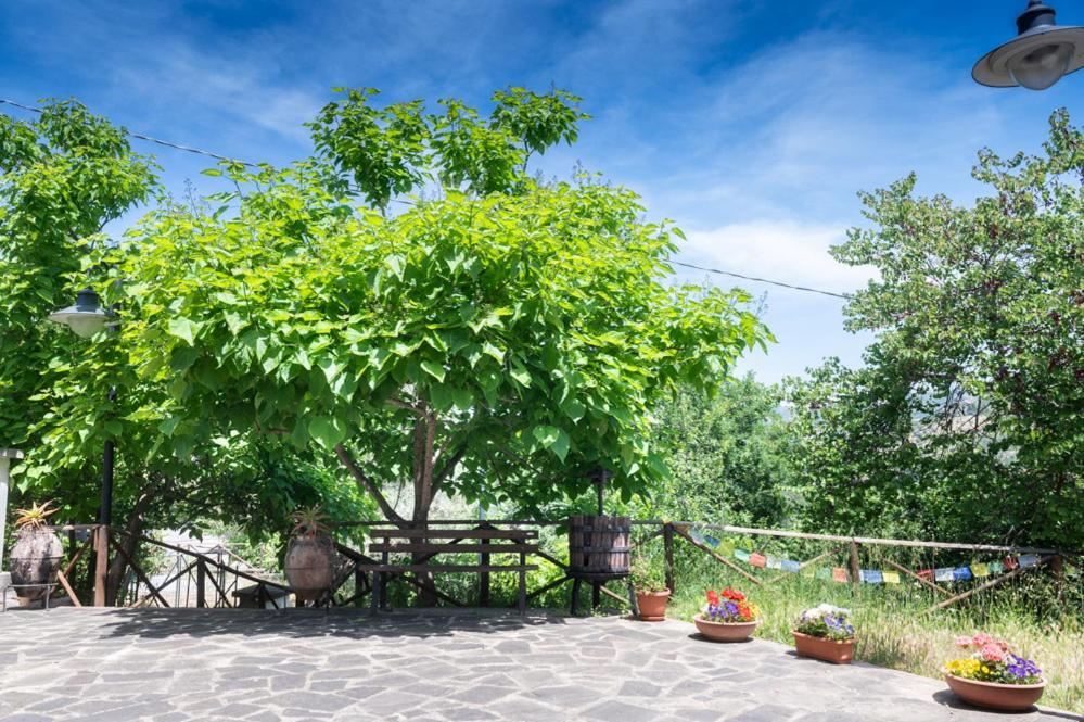 Antico Casale - Camere Con Angolo Cottura Agropoli Exteriér fotografie